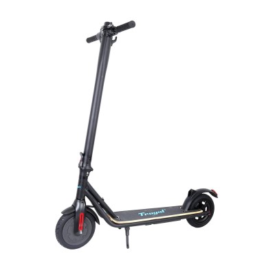 Electric scooter FRUGAL IMPULSE  /black/