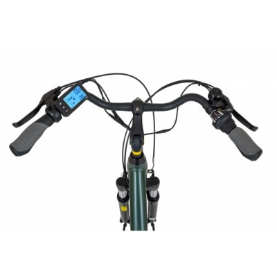 Electric bike ECOBIKE TRAFFIC DARK GREEN 28