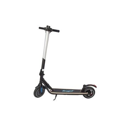 Electric scooter FRUGAL IMPULSE  /silver-black/