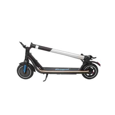 Electric scooter FRUGAL IMPULSE  /silver-black/