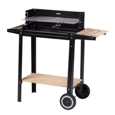 Rectangular coal garden grill