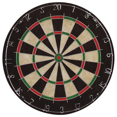 Bristle dartboard MASTER