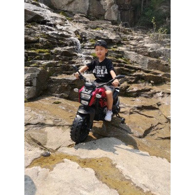 MEGA MOTOR CROSS  STRONG 2 EXCLUSIVE, AMORTYZATOR, GAZ W MANETCE, HAMULEC/DLS01