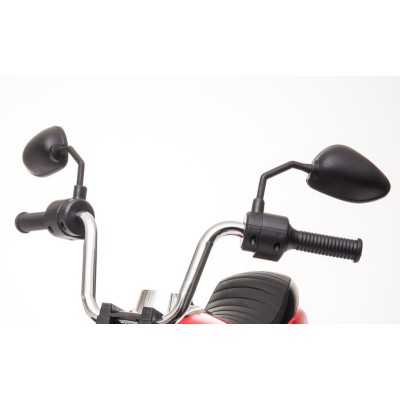 PIERWSZY CHOPPER NA AKUMULATOR  DLA MALUSZKA/ FC8898