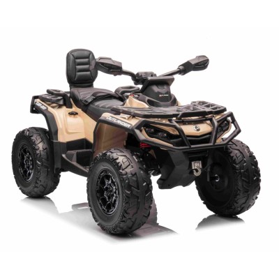 QUAD CAN AM  OUTLANDER 4X4, PILOT 800 WATT, PASY BEZPIECZEŃSTWA/DK-CA005