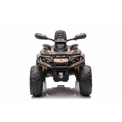 QUAD CAN AM  OUTLANDER 4X4, PILOT 800 WATT, PASY BEZPIECZEŃSTWA/DK-CA005