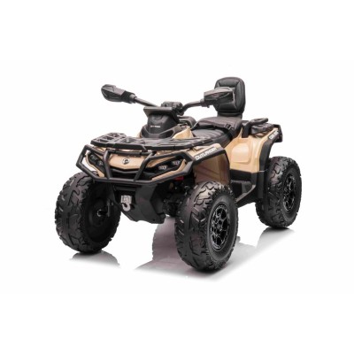QUAD CAN AM  OUTLANDER 4X4, PILOT 800 WATT, PASY BEZPIECZEŃSTWA/DK-CA005