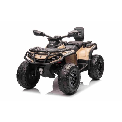QUAD CAN AM  OUTLANDER 4X4, PILOT 800 WATT, PASY BEZPIECZEŃSTWA/DK-CA005