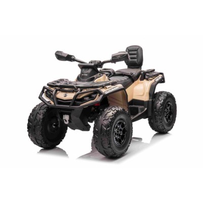 QUAD CAN AM  OUTLANDER 4X4, PILOT 800 WATT, PASY BEZPIECZEŃSTWA/DK-CA005