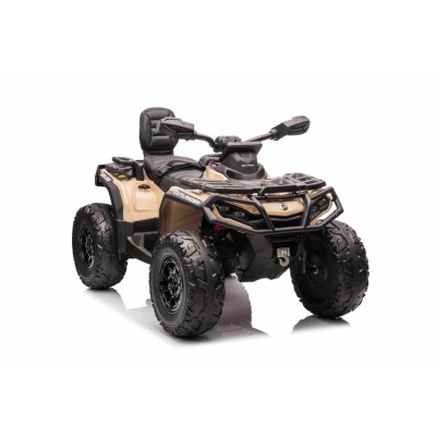 QUAD CAN AM  OUTLANDER 4X4, PILOT 800 WATT, PASY BEZPIECZEŃSTWA/DK-CA005