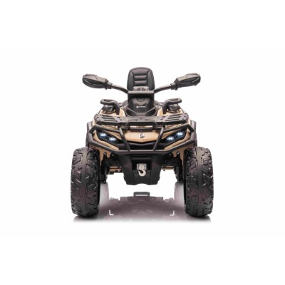 QUAD CAN AM  OUTLANDER 4X4, PILOT 800 WATT, PASY BEZPIECZEŃSTWA/DK-CA005