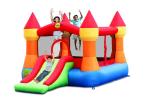 Castle bouncer with slide