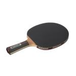 Tennis table bat DONIC WALDNER 5000