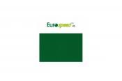 Sukno pool EUROSPEED /english green./ 172cm