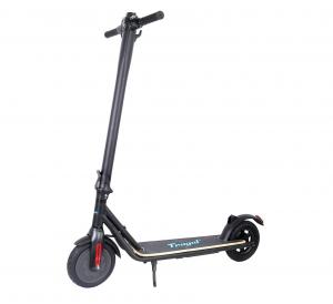 Electric scooter FRUGAL IMPULSE  /black/